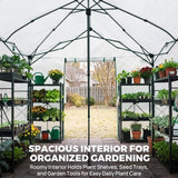 6x6/ 6x8/ 8x8/ 10x10 Pop Up Walk In Greenhouse, Easy Setup, Gable Roof - Eagle Peak®