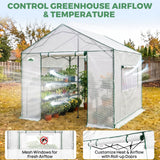 6x6/ 6x8/ 8x8/ 10x10 Pop Up Walk In Greenhouse, Easy Setup, Gable Roof - Eagle Peak®