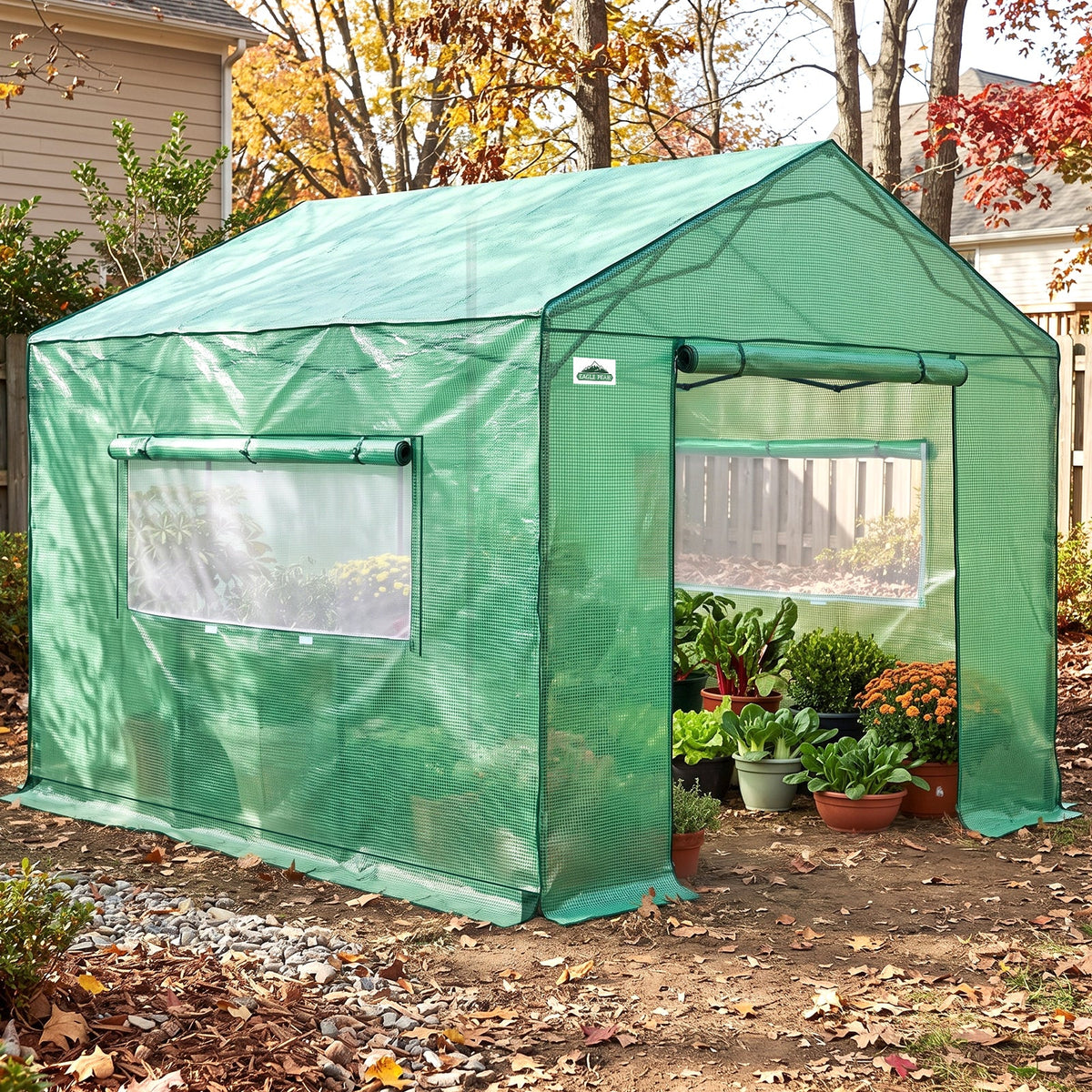 6x6/ 6x8/ 8x8/ 10x10 Pop Up Walk In Greenhouse, Easy Setup, Gable Roof - Eagle Peak®
