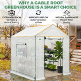 6x6/ 6x8/ 8x8/ 10x10 Pop Up Walk In Greenhouse, Easy Setup, Gable Roof - Eagle Peak®