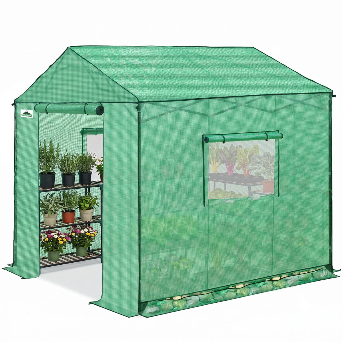 6x6/ 6x8/ 8x8/ 10x10 Pop Up Walk In Greenhouse, Easy Setup, Gable Roof - Eagle Peak®
