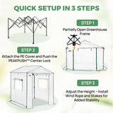 6x6/ 6x8/ 8x8/ 10x10 Pop Up Walk In Greenhouse, Easy Setup, Gable Roof - Eagle Peak®