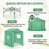 6x6/ 6x8/ 8x8/ 10x10 Pop Up Walk In Greenhouse, Easy Setup, Gable Roof - Eagle Peak®