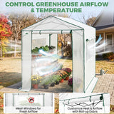 6x6/ 6x8/ 8x8/ 10x10 Pop Up Walk In Greenhouse, Easy Setup, Gable Roof - Eagle Peak®