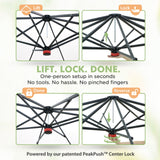 6x6/ 8x8/ 10x10 Portable Pop Up Greenhouse, Patented Center Lock with Gable Roof - Eagle Peak