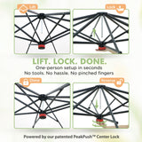 6x6/ 8x8/ 10x10 Portable Pop Up Greenhouse, Patented Center Lock with Gable Roof - Eagle Peak