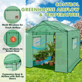 6x6/ 8x8/ 10x10 Portable Pop Up Greenhouse, Patented Center Lock with Gable Roof - Eagle Peak