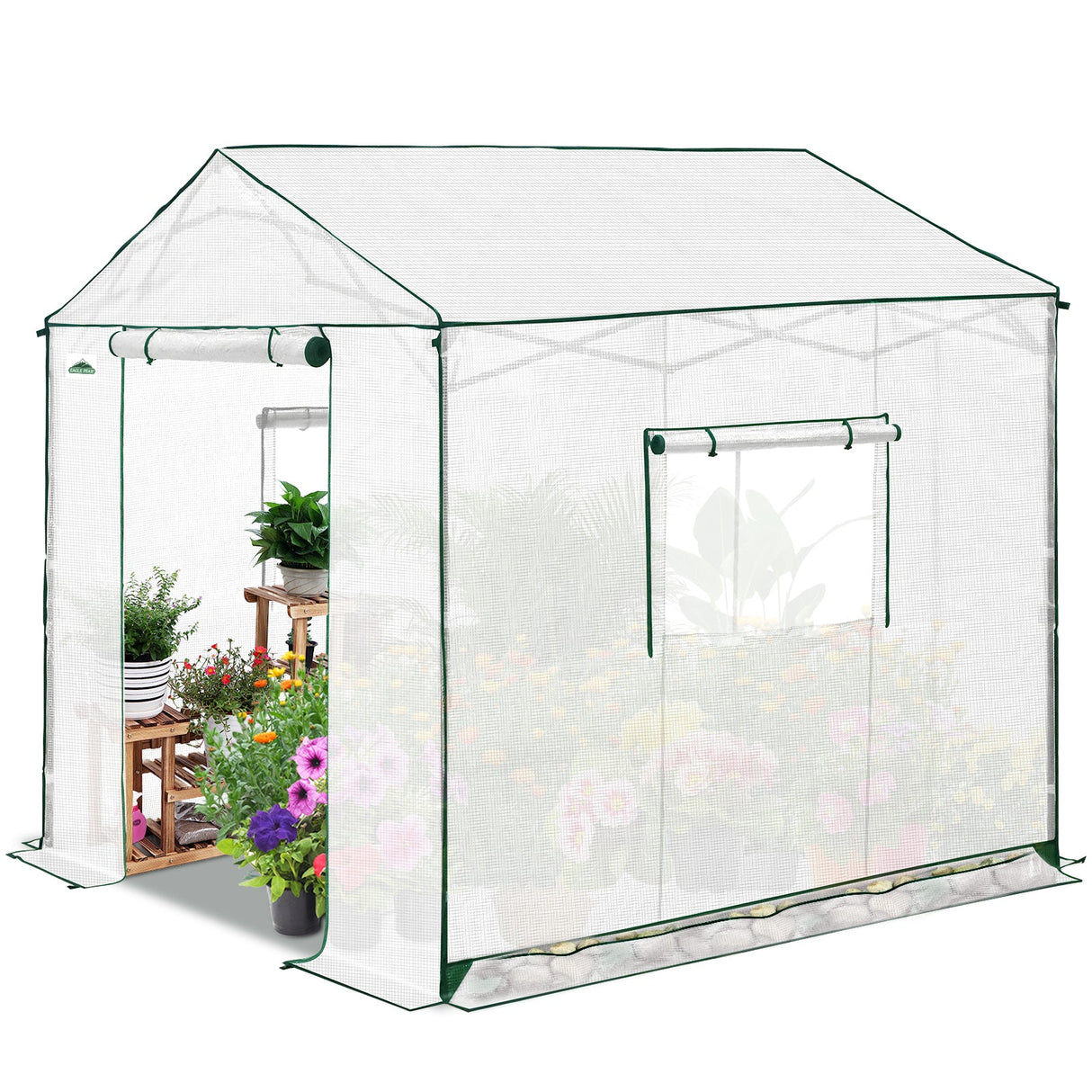6x6/ 8x8/ 10x10 Portable Pop Up Greenhouse, Patented Center Lock with Gable Roof - Eagle Peak®
