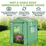 6x6/ 8x8/ 10x10 Portable Pop Up Greenhouse, Patented Center Lock with Gable Roof - Eagle Peak