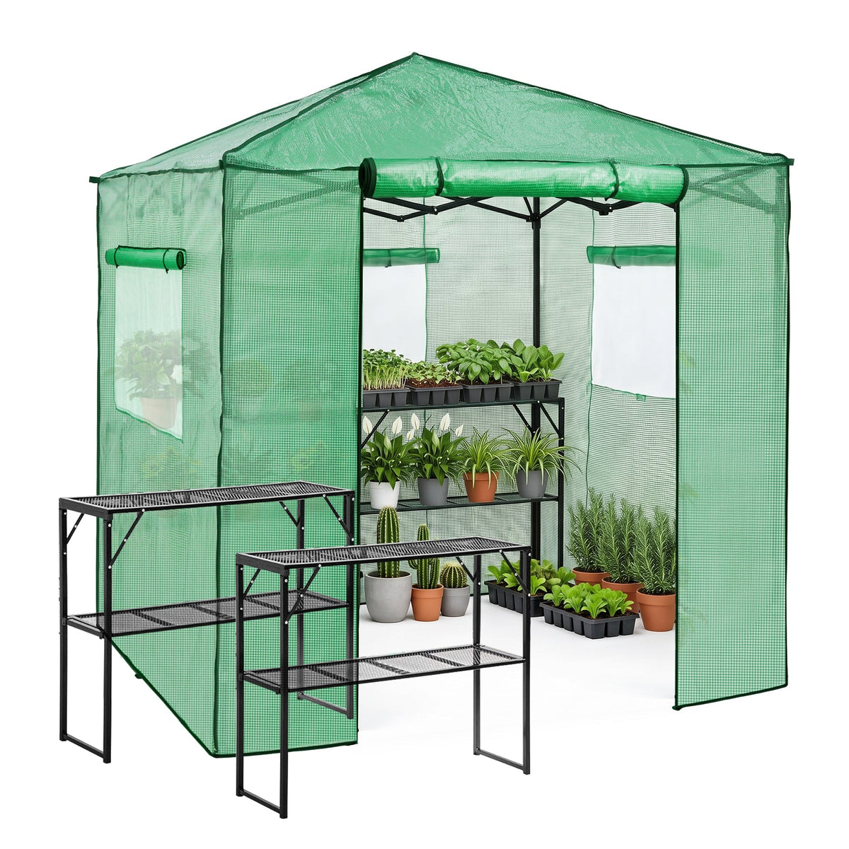 7x7 Easy Setup Pop Up Greenhouse, 2 Folding Shelves - Eagle Peak®