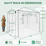 8x6 Easy Setup Pop Up Greenhouse - Eagle Peak®