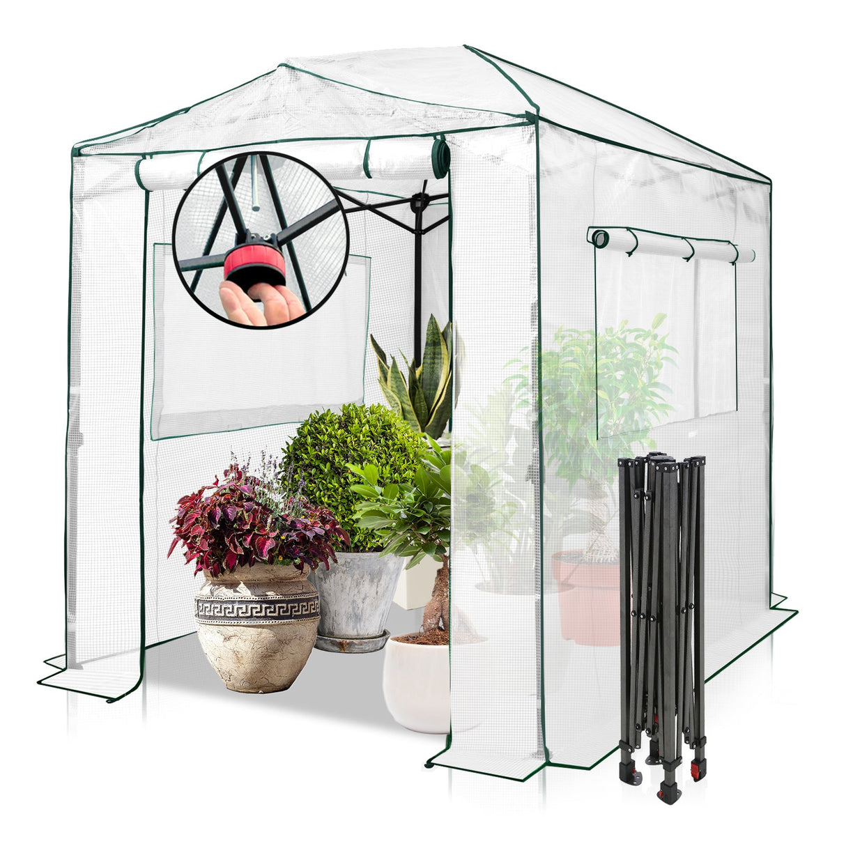 8x6 Easy Setup Pop Up Greenhouse - Eagle Peak®