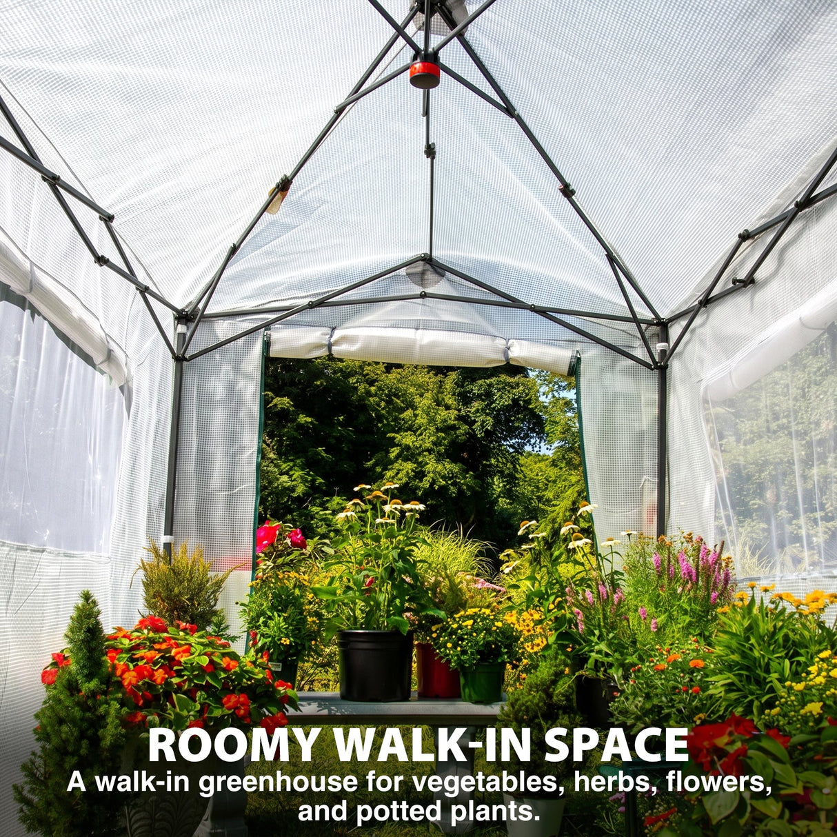8x6 Easy Setup Pop Up Greenhouse - Eagle Peak®