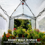 8x6 Easy Setup Pop Up Greenhouse - Eagle Peak®