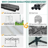 8x6 Easy Setup Pop Up Greenhouse - Eagle Peak®