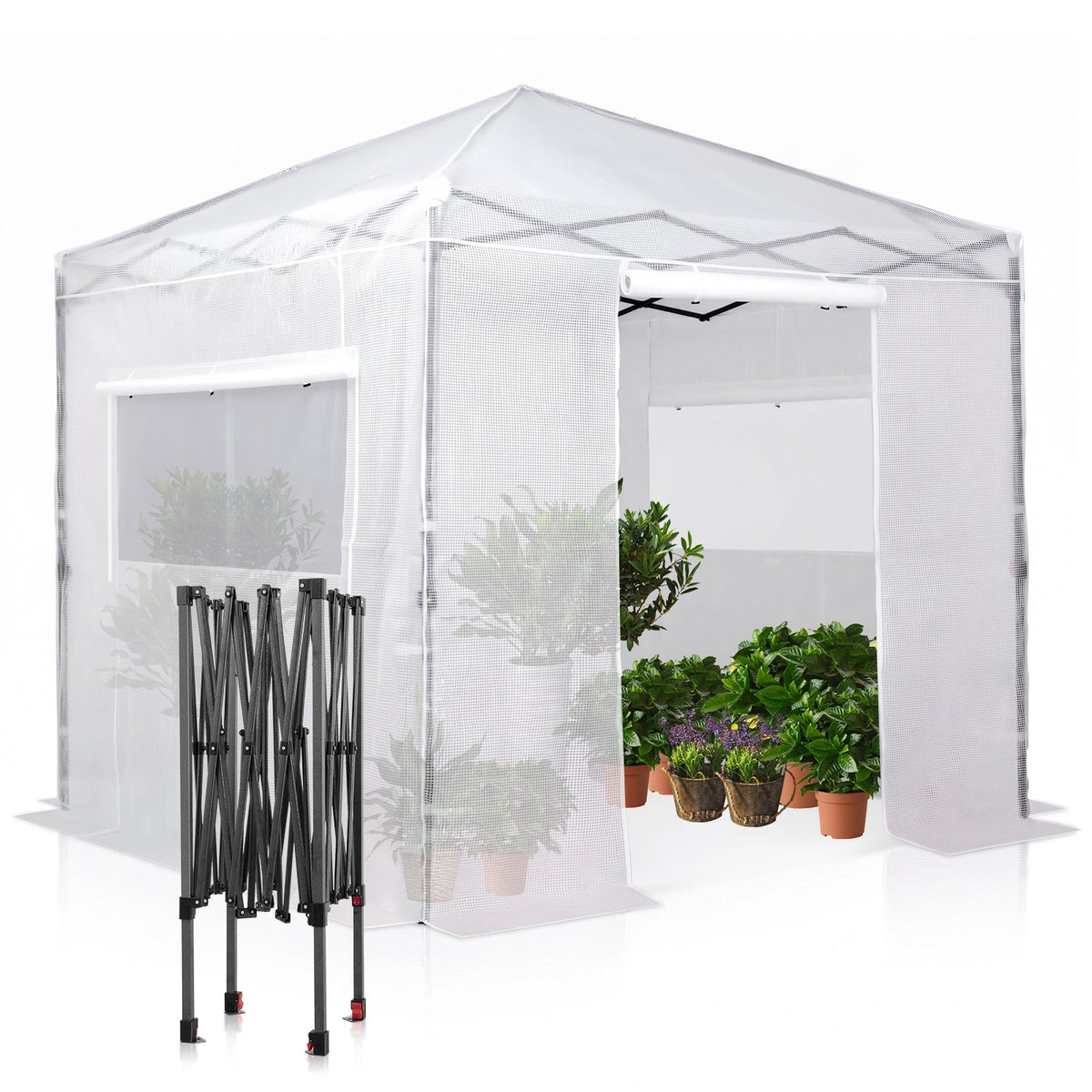 8x8 Easy Setup Pop Up Greenhouse - Eagle Peak®