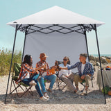 8x8 Pop Up Canopy Tent with Extended Eaves & Sidewall - Eagle Peak Custom Canopy Tent