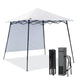 8x8 Pop Up Canopy Tent with Extended Eaves & Sidewall - Eagle Peak Custom Canopy Tent