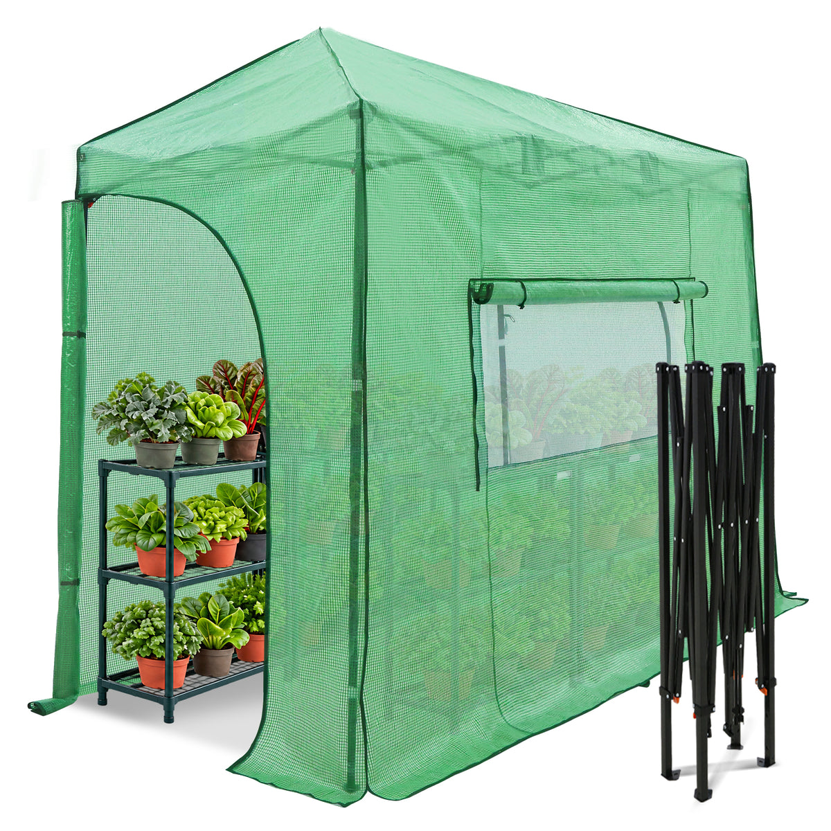 10x5 Easy Setup Pop Up Greenhouse, Lean-To Design