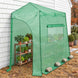 9x4 Easy Setup Pop Up Greenhouse, Lean-To Design - Eagle Peak®