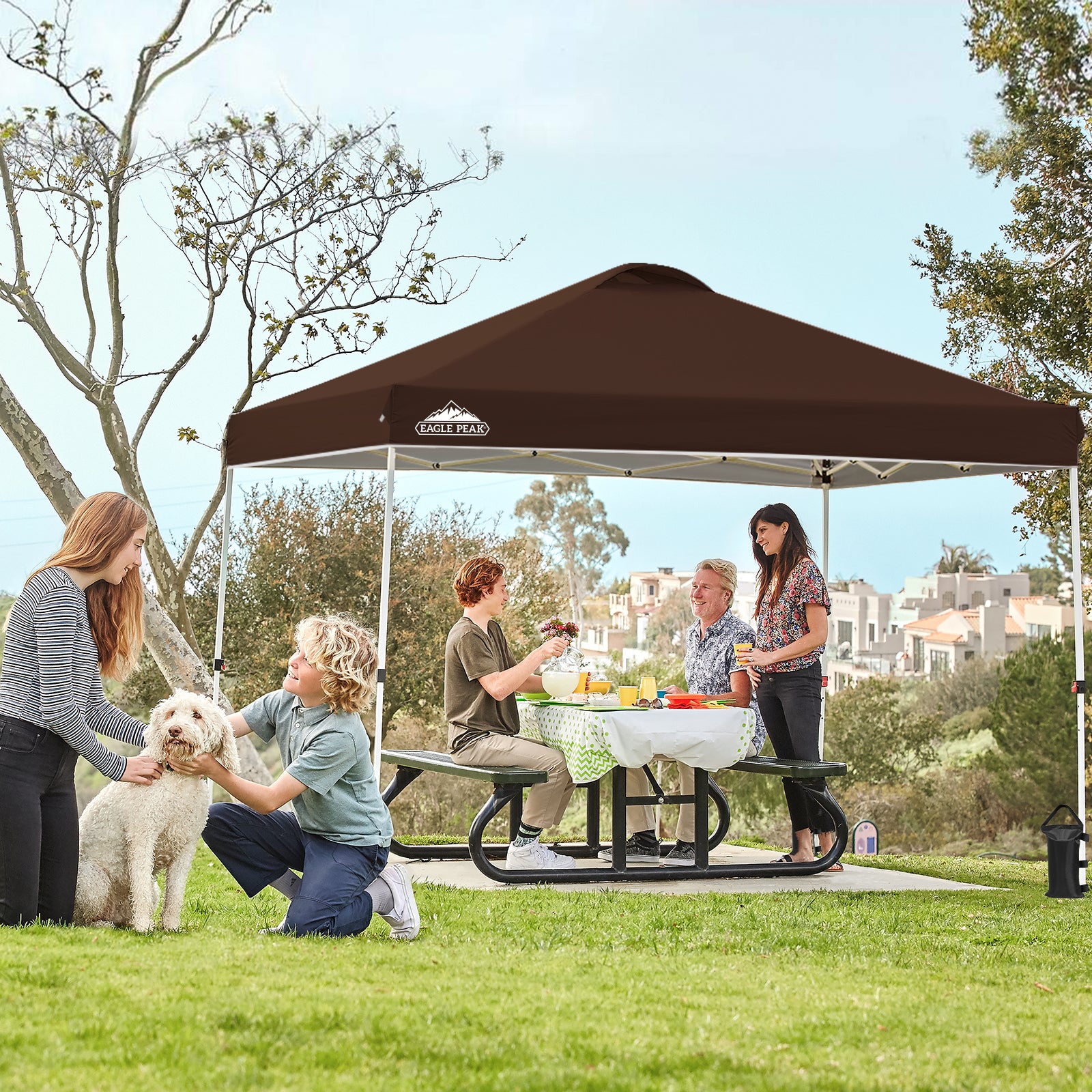 10x10 straight leg pop up canopy sale
