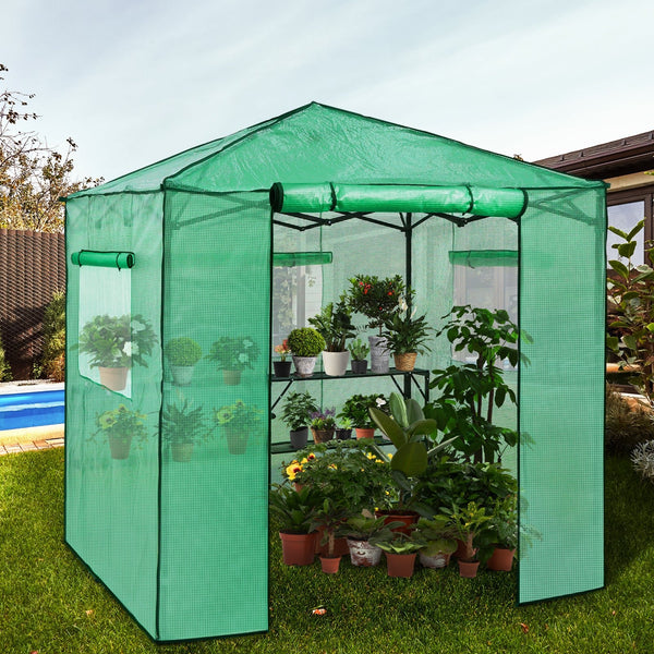 7x7 Pop up Greenhouse Portable Walk-in with 2 Foldable Shelves
