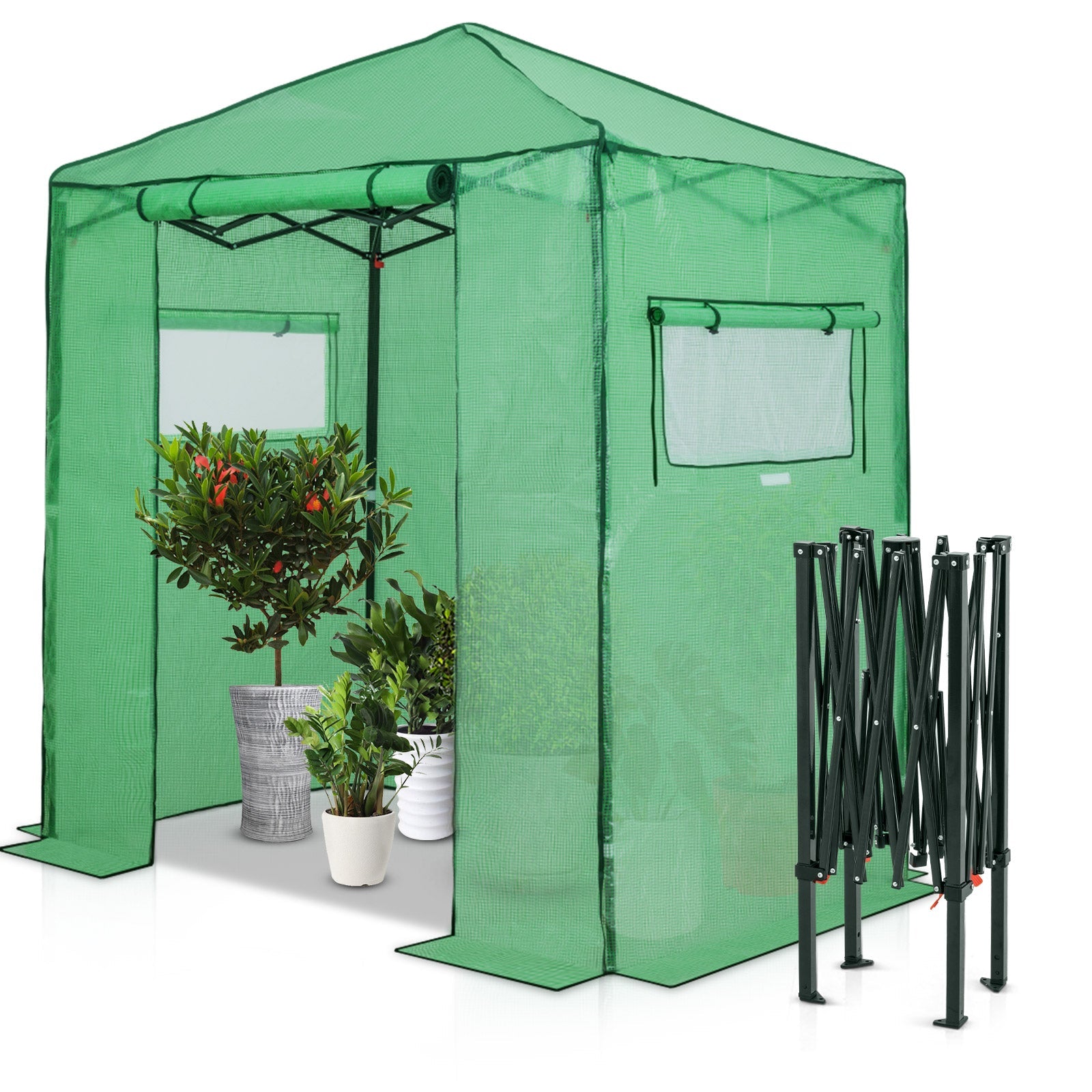 Easy Fast Setup Instant 6×4 Walk-in Indoor/Outdoor Greenhouse