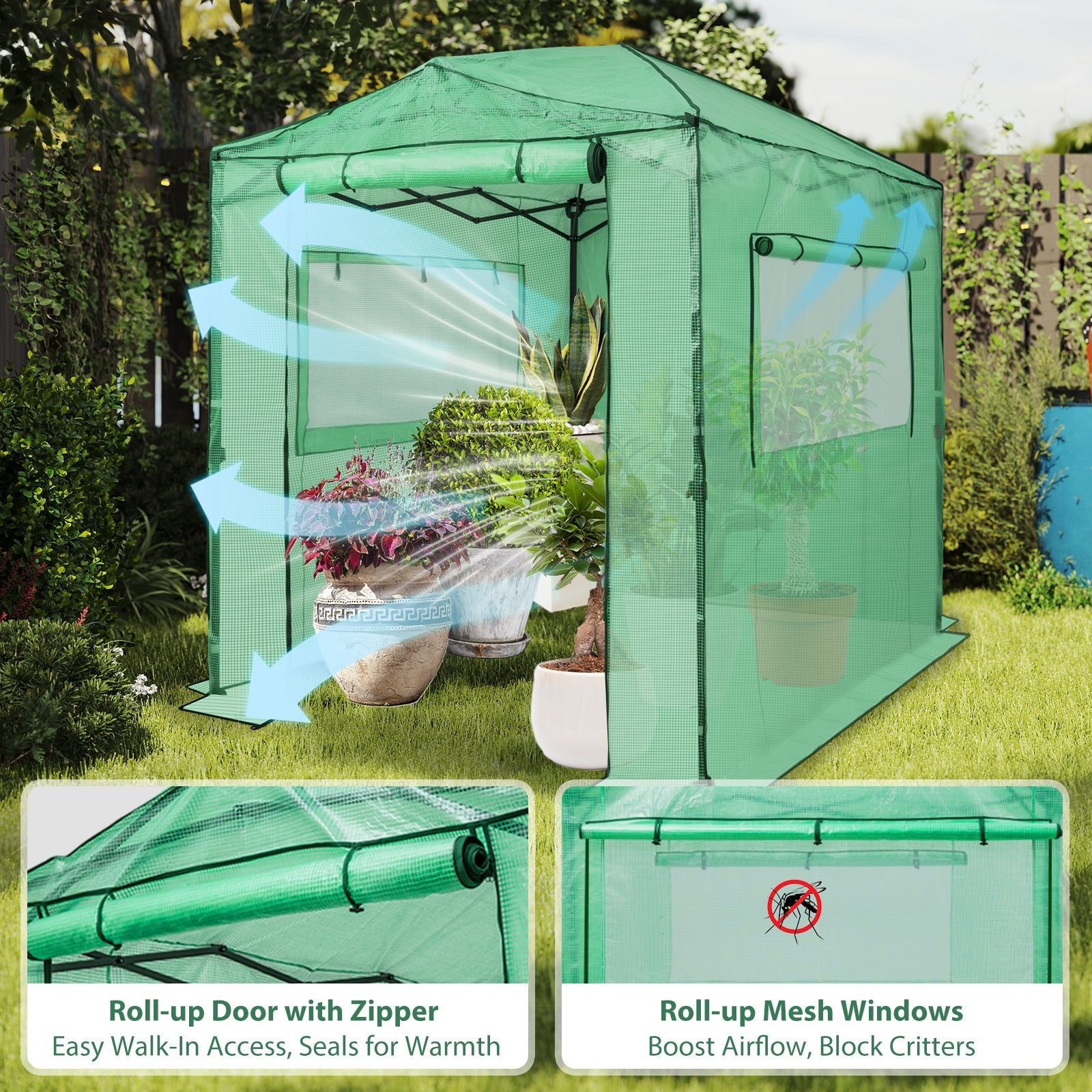 Easy Setup 8x6 Instant Pop Up Greenhouse – Eagle Peak®