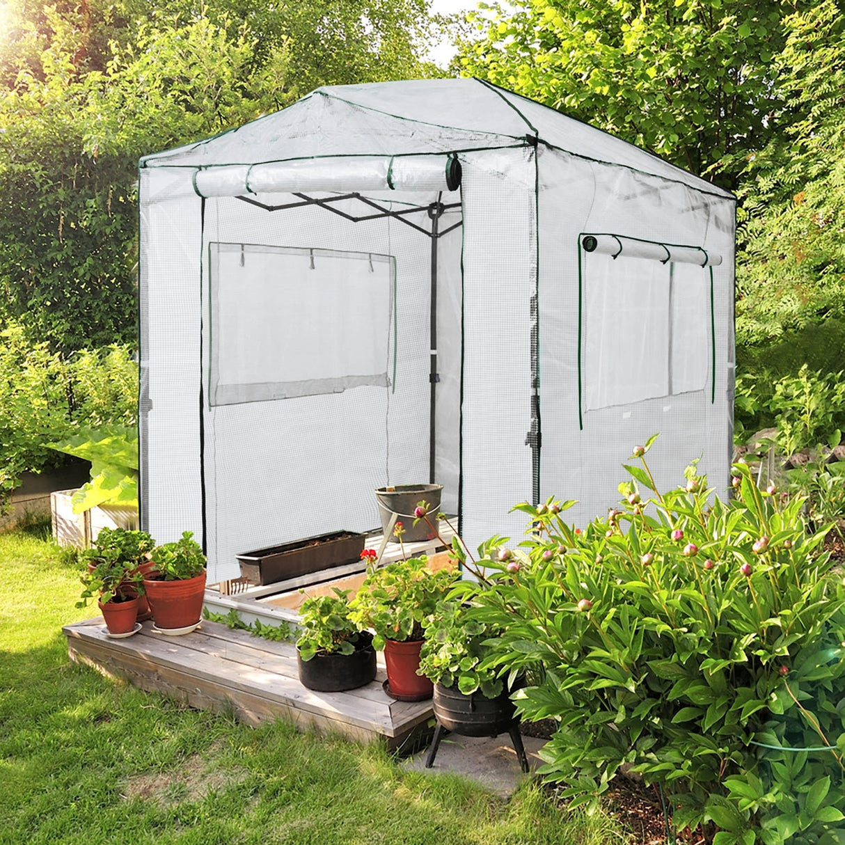 Easy Setup 8x6 Instant Pop Up Greenhouse - Eagle Peak Custom Canopy Tent