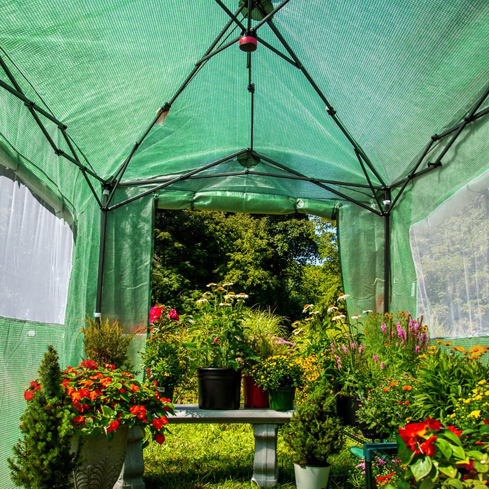Easy Setup 8x6 Instant Pop Up Greenhouse – Eagle Peak®