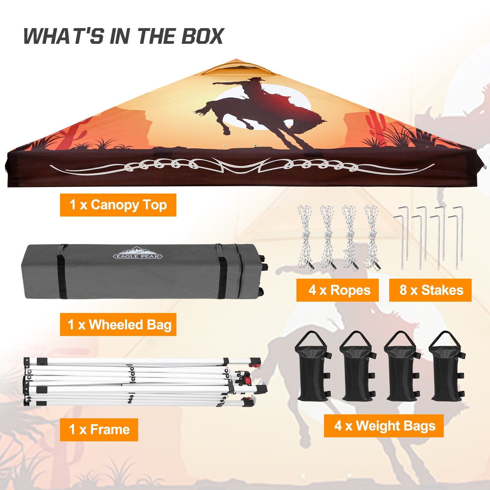 Easy Setup Straight Leg 10x10 Pop Up Canopy Tent Graphix Top