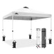 Easy Setup Straight Leg 10x10 Pop Up Canopy Tent w/ 100 sqft of Shade - Eagle Peak®