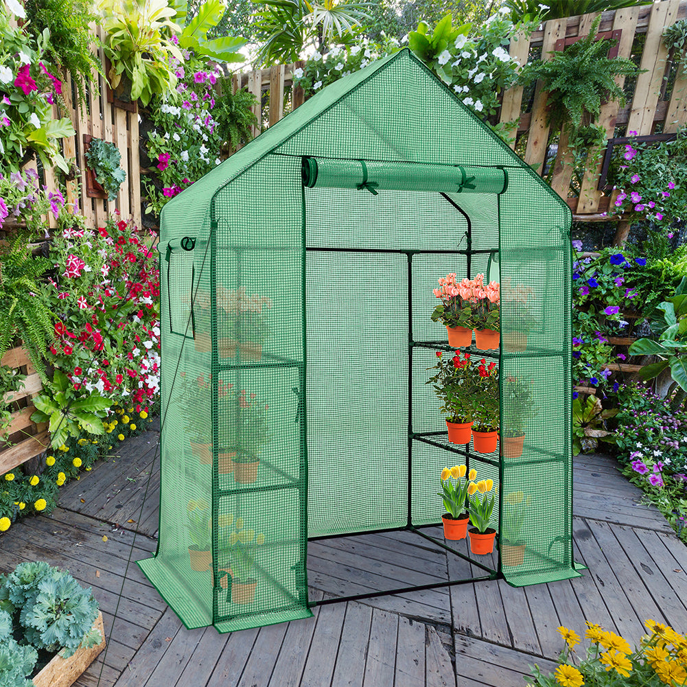 61"x28"x79"Walk in 3-Tier Greenhouse