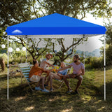 EAGLE PEAK 10x10 Outdoor Pop up Straight Leg Canopy with Wheeled Carry Bag, 100 Square Feet of Shade