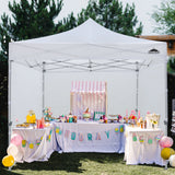 10x10 Heavy Duty Pop up Commercial Canopy with Removable Sidewalls