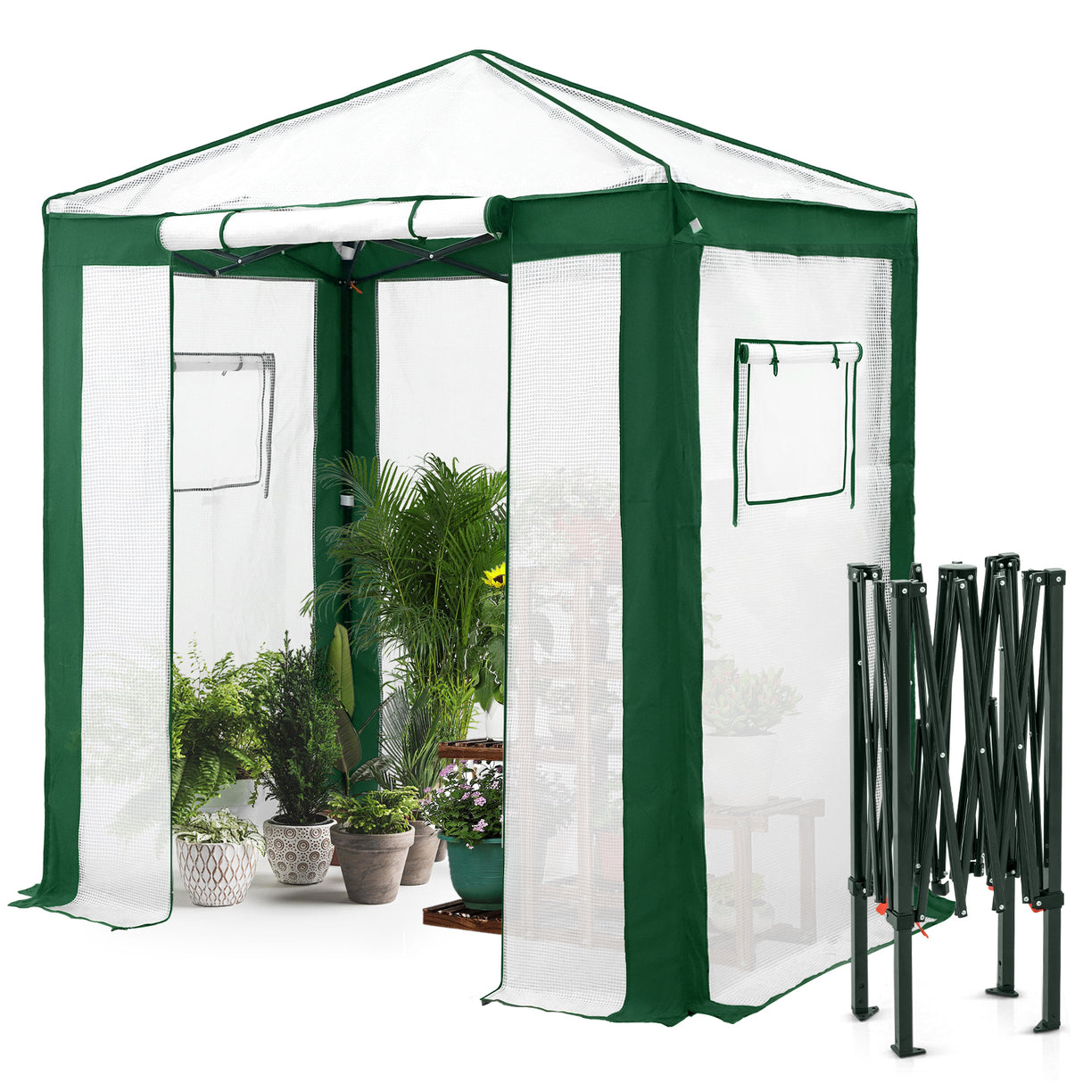 6x4/8x6/10x10 Portable Walk in Greenhouse with Polyester Reinforced Corners, Gray/White, Green/White