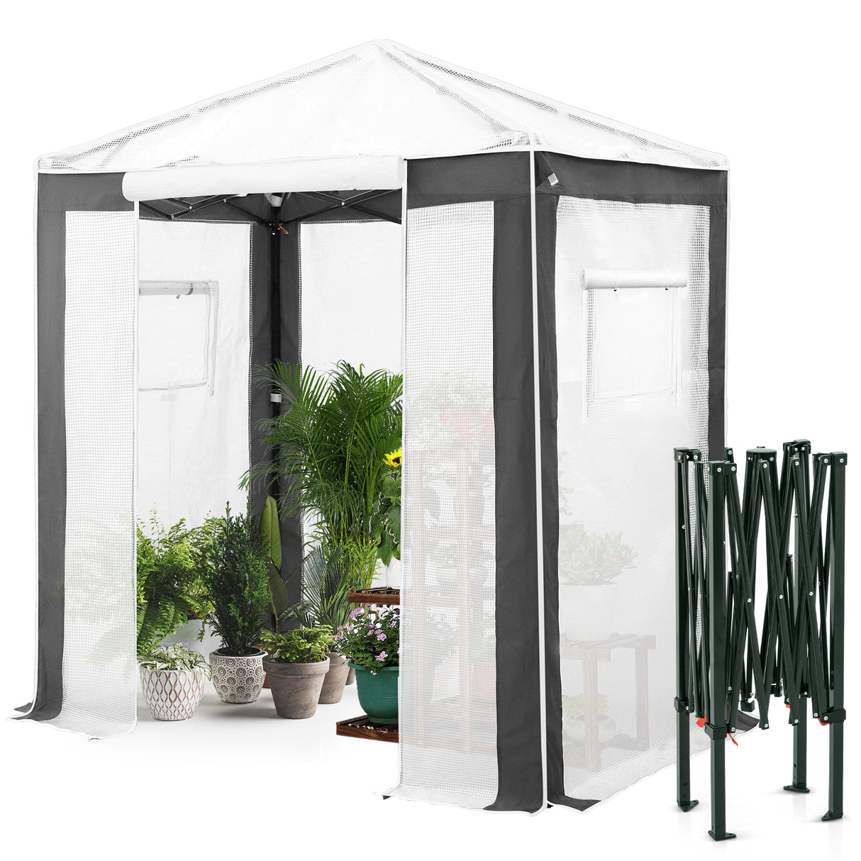 6x4/8x6/10x10 Portable Walk in Greenhouse with Polyester Reinforced Corners, Gray/White, Green/White