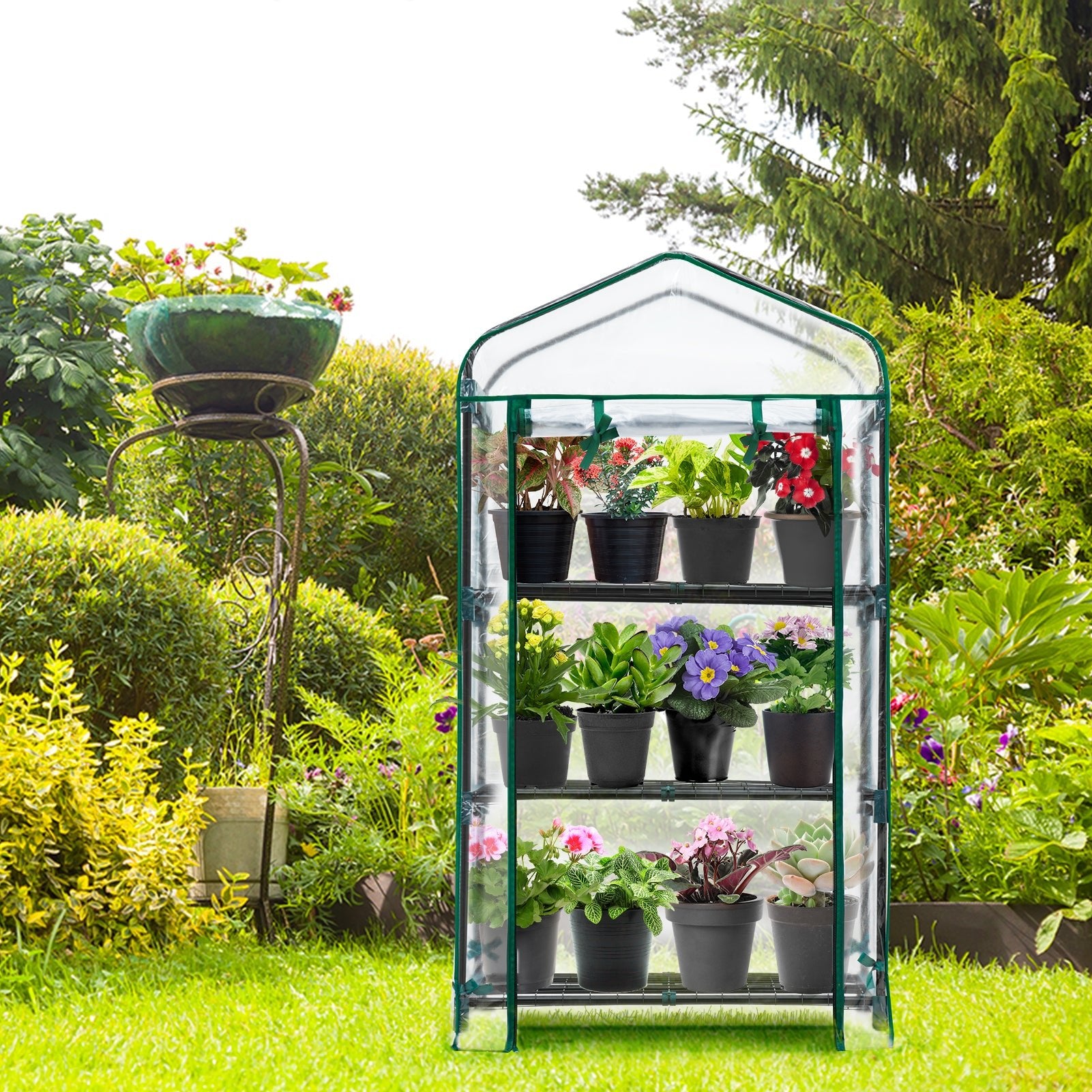 Mini Greenhouse 27