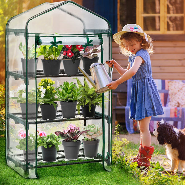 ガーデンファニチャー SRL . MINI GREENHOUSE mini-greenhouse-27-x-19-x-50-