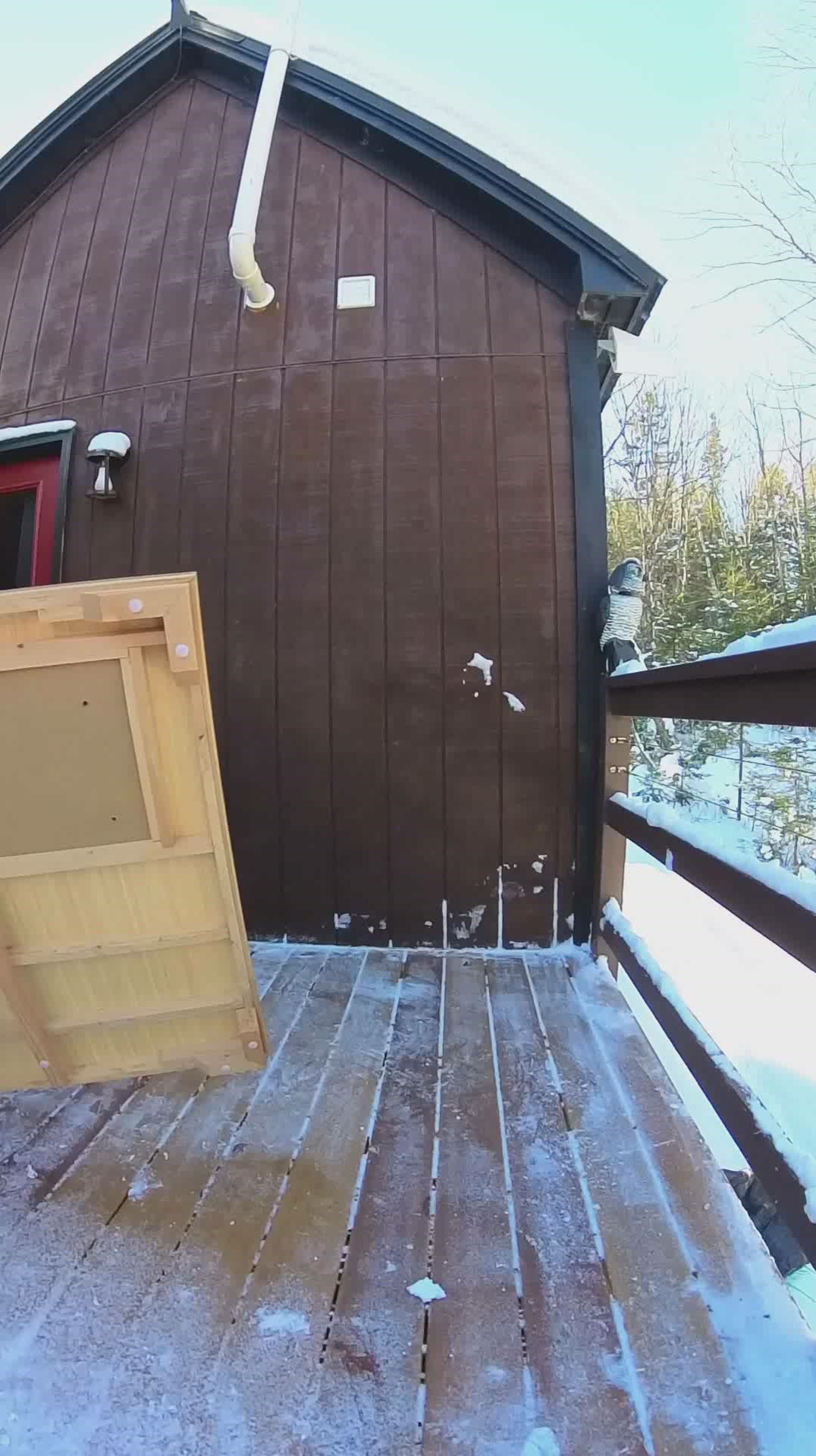 1-2/2 Person Low EMF Far Infrared Sauna