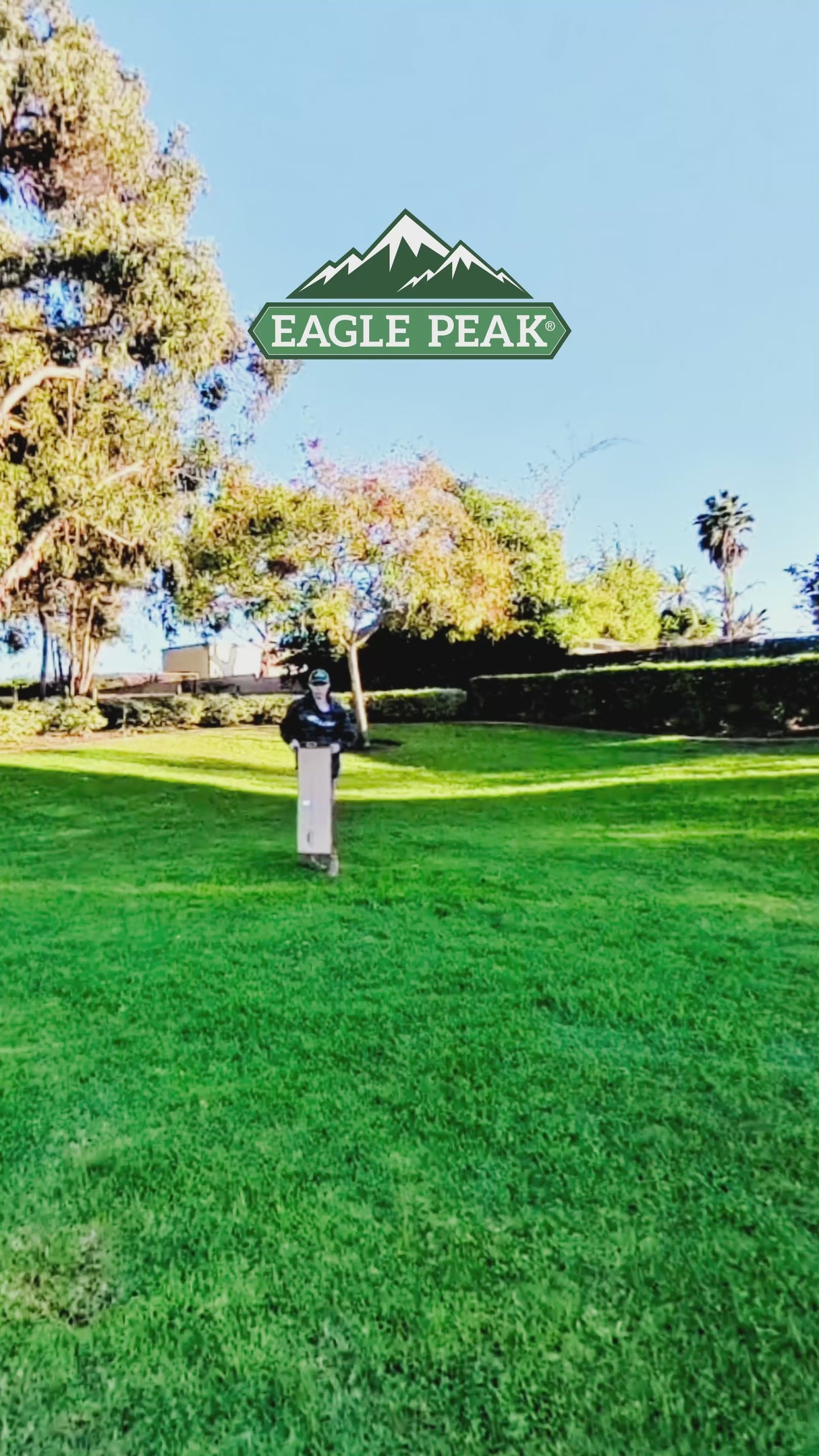 6x4/8x6/10x10 Portable Walk in Greenhouse with Polyester Reinforced Corners, Gray/White, Green/White