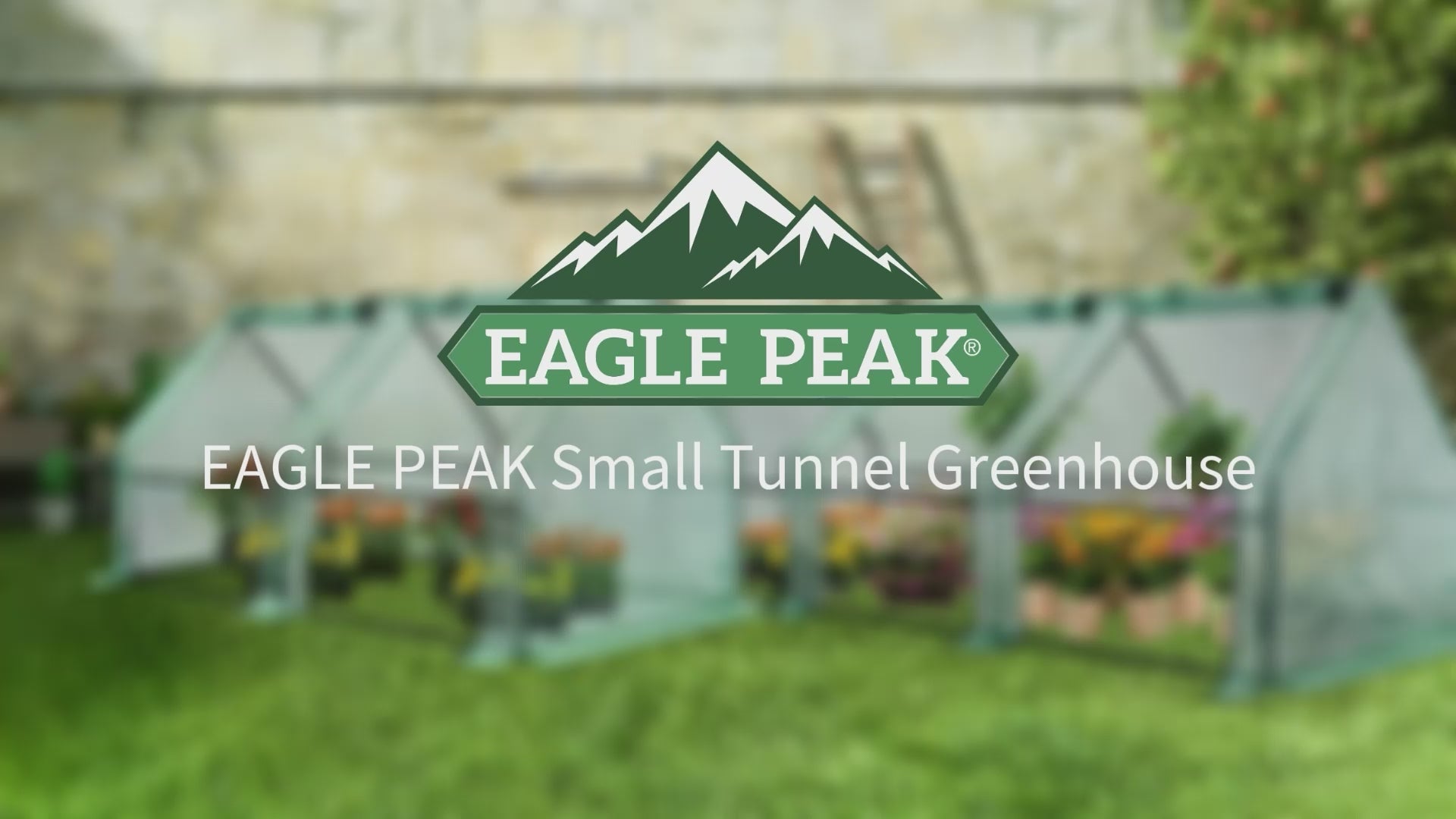 Tunnel Greenhouse for Outdoors, 96x36x36 in – Eagle Peak®