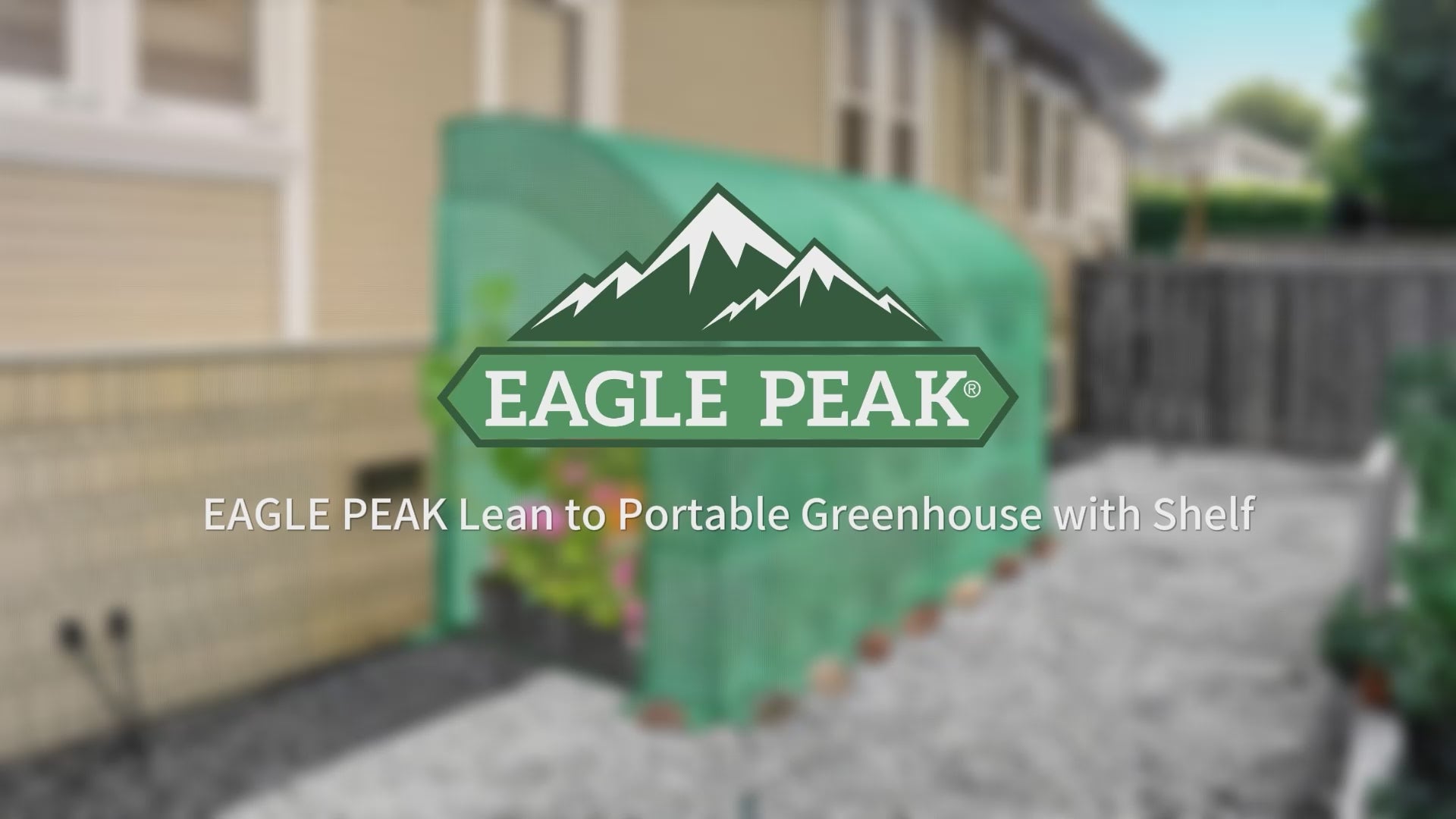 9.9x4.9x7.1 Outdoor Lean to Walk-in Greenhouse with Shelf – Eagle