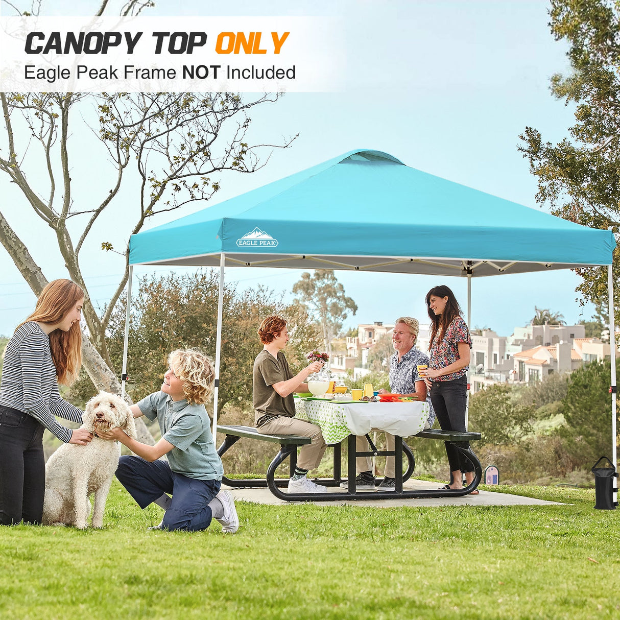 Replacement Canopy Cover with Air Vent for 10x10 Pop Up Canopy Tent, Top Only - Eagle Peak Custom Canopy Tent
