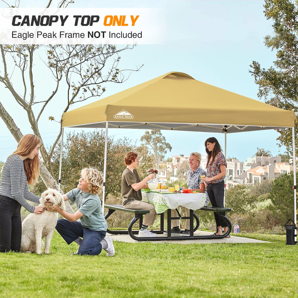 Replacement Canopy Cover with Air Vent for 10x10 Pop Up Canopy Tent, Top Only - Eagle Peak Custom Canopy Tent