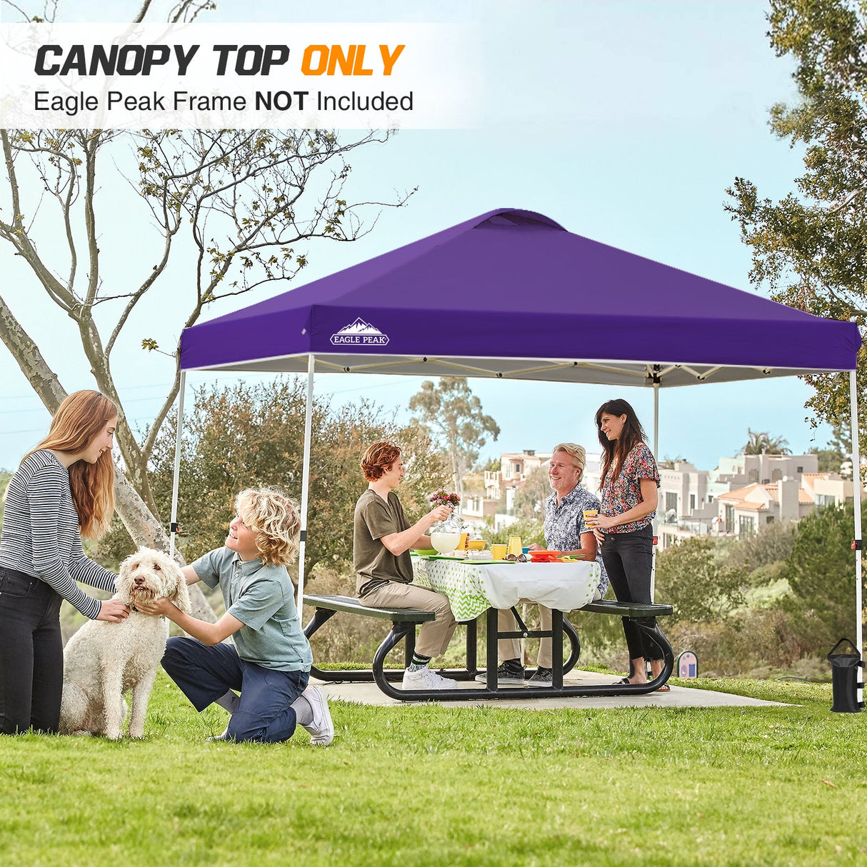 Replacement Canopy Cover with Air Vent for 10x10 Pop Up Canopy Tent, Top Only - Eagle Peak Custom Canopy Tent