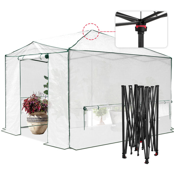 EAGLE PEAK 12x8 Portable Large Walk-in Instant Greenhouse with Support Pole
