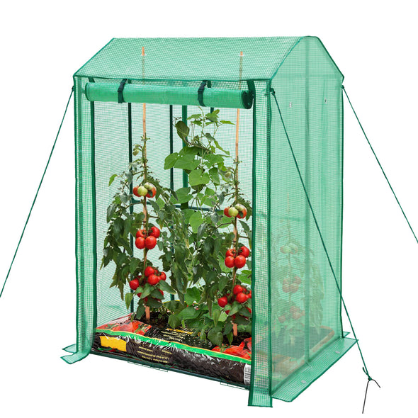 EAGLE PEAK Outdoor Greenhouse with Double Roll-up Zippered Doors, Vertical Cold Frame Grow House for Vegetables, Flowers, 39'' x 32'' x 59'', Green (Double Growbag)